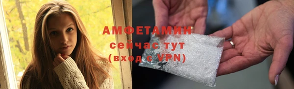 сатива Михайловск
