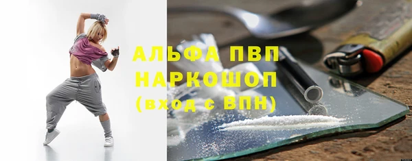 молекула духа Медвежьегорск