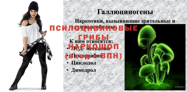 сатива Михайловск