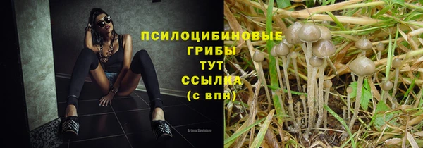 таблы Медногорск