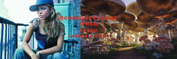 сатива Михайловск