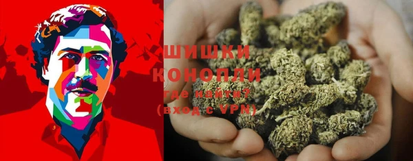 сатива Михайловск