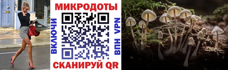 Галлюциногенные грибы Psilocybe  купить закладку  Нестеров 